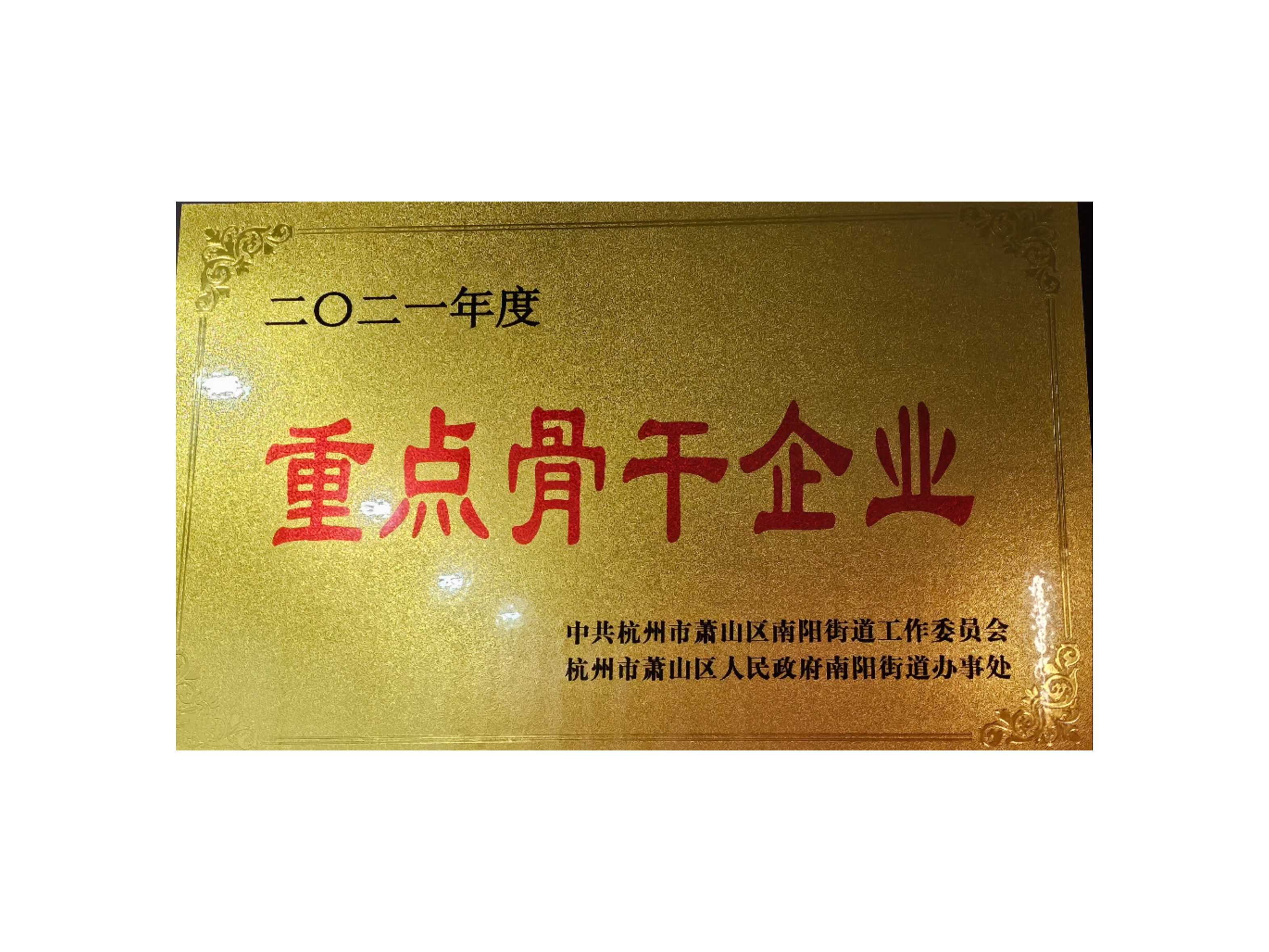 重點(diǎn)骨干企業(yè)